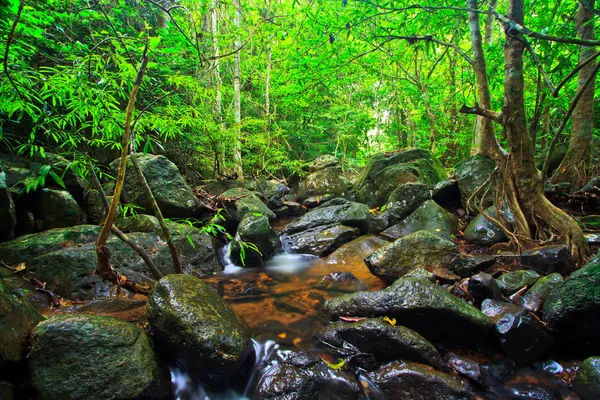 Waldwasserfall — Stockfoto