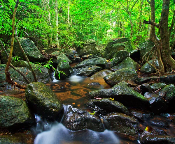 Forest waterfall — Stock Photo, Image