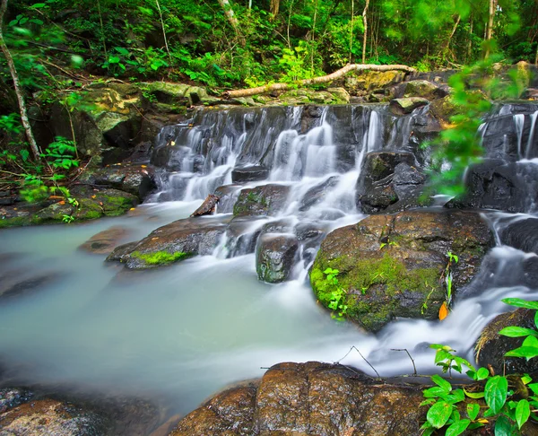 Водопад в тропических лесах — стоковое фото