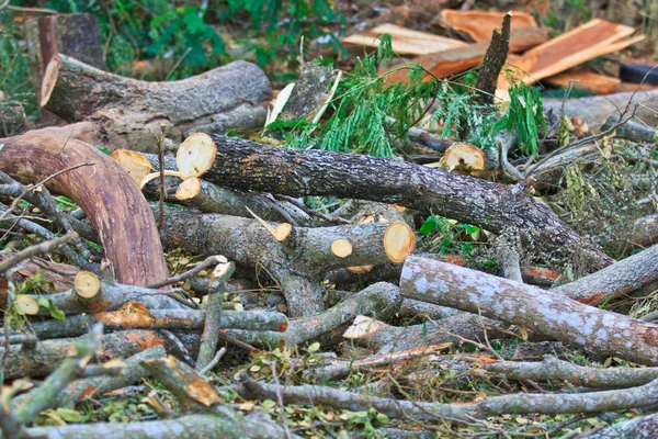 Pieza de corte hombre de madera — Foto de Stock