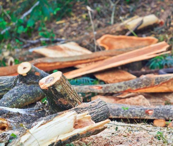 男人切割一块木头 — 图库照片