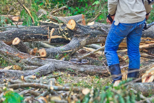 Homme coupe morceau de bois — Photo