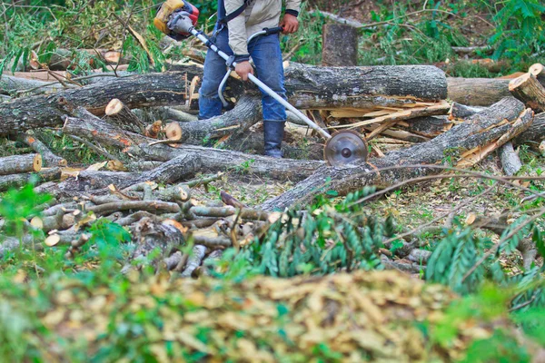 Homem cortando pedaço de madeira — Fotografia de Stock