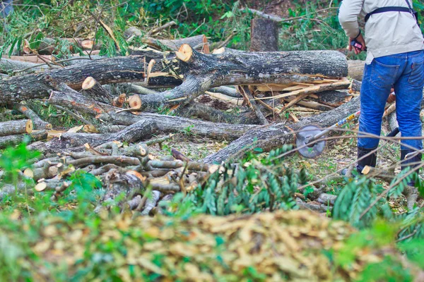 Man snijden stuk hout — Stockfoto