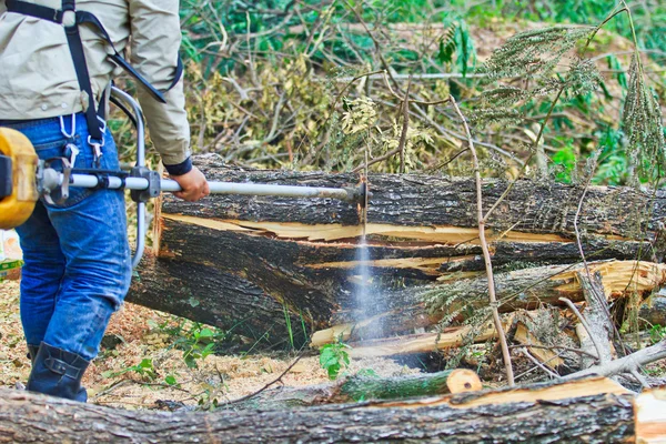 Homem cortando pedaço de madeira — Fotografia de Stock