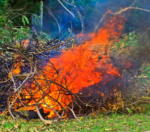 Lagerfeuer im Wald — Stockfoto