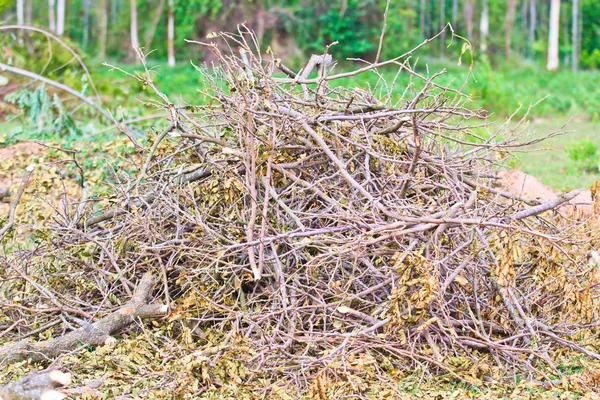 Stapel brandhout droog hout — Stockfoto