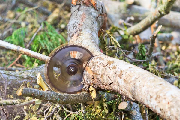 Homme coupe morceau de bois — Photo