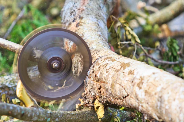 Mann schneidet Stück Holz — Stockfoto