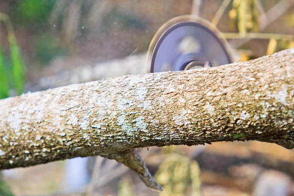 Man snijden stuk hout — Stockfoto