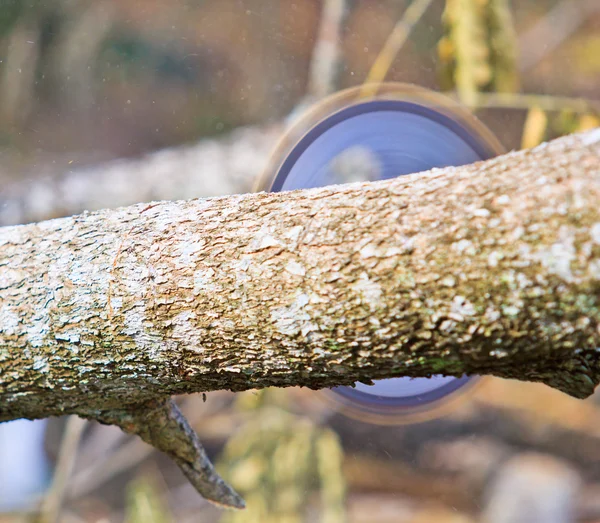 Homme coupe morceau de bois — Photo