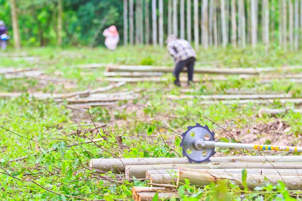 Zag te snijden hout zaagmachines machine — Stockfoto