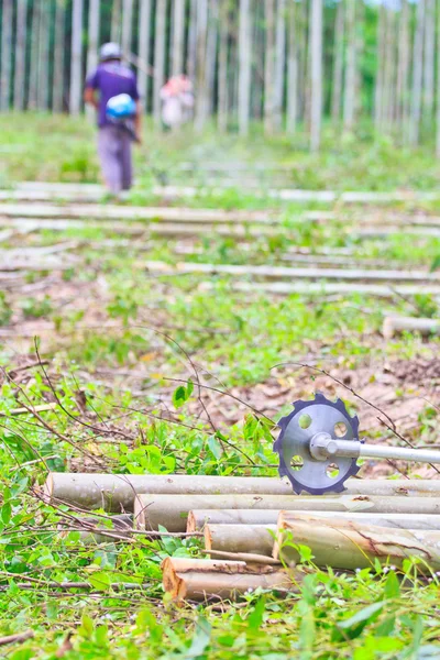 Scie à couper le bois Machine à scier — Photo