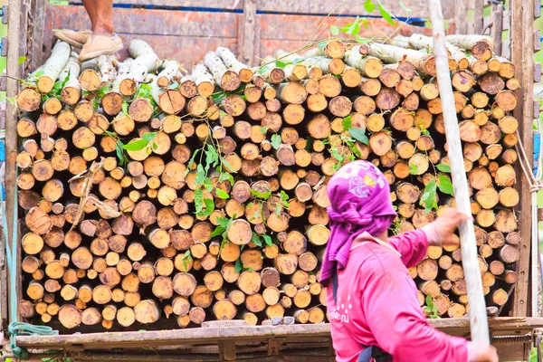 Snijden hout — Stockfoto