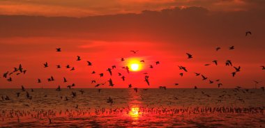 denizde gün batımı