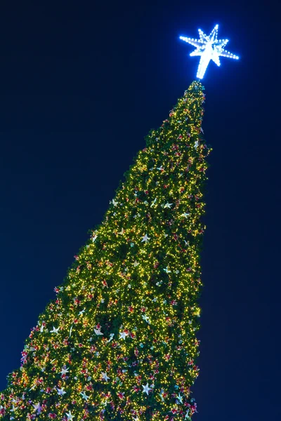 Árbol de Navidad —  Fotos de Stock