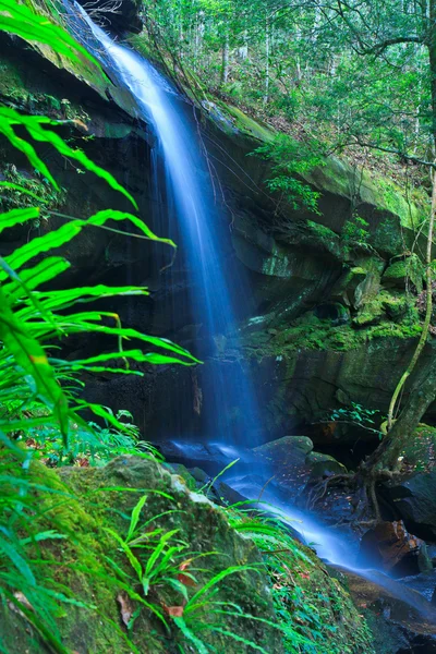 Şelale — Stok fotoğraf