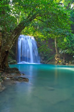 Orman şelale ve mavi akım