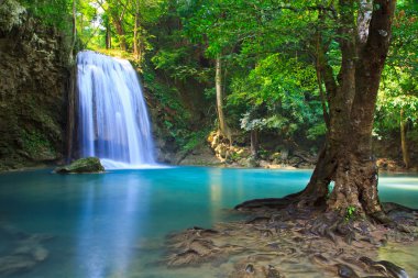 Orman şelale ve mavi akım