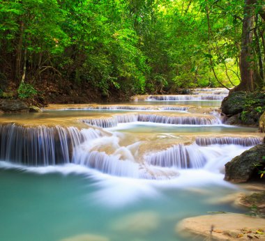 Orman şelale ve mavi akım