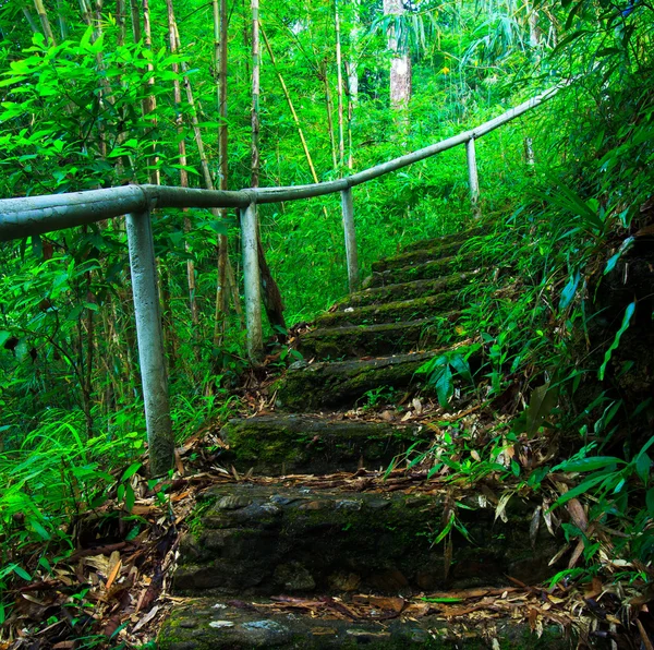 Stairway — Stock Photo, Image