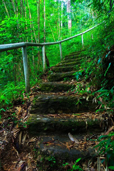 Stairway — Stock Photo, Image