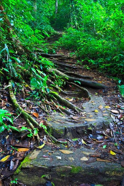 Stairway — Stock Photo, Image