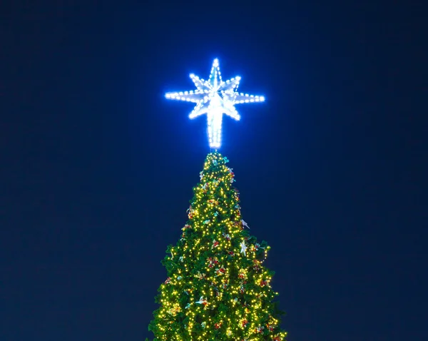 Árbol de Navidad —  Fotos de Stock