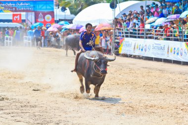 140 buffa kimliği belirsiz katılımcıları