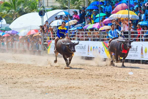 Participantes não identificados em 140th Buffa — Fotografia de Stock