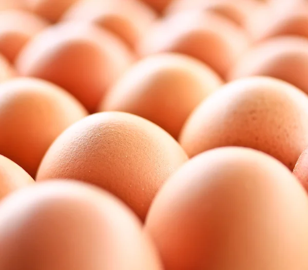 Ovos fundo — Fotografia de Stock