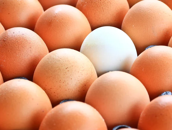 Eggs background — Stock Photo, Image