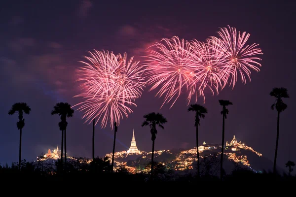 Beautiful fireworks — Stock Photo, Image