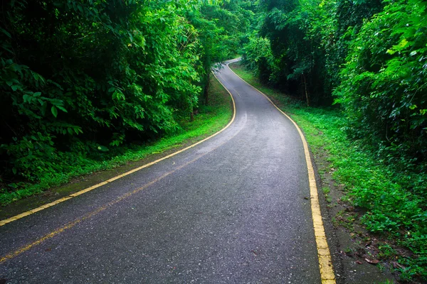 Estrada curva com árvores — Fotografia de Stock