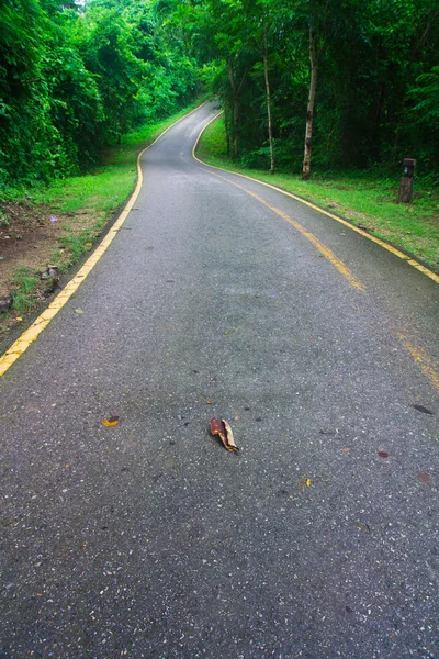 Estrada curva com árvores — Fotografia de Stock