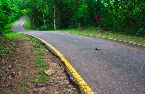 Camino curvo con árboles — Foto de Stock