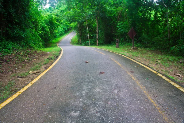 Estrada curva com árvores — Fotografia de Stock