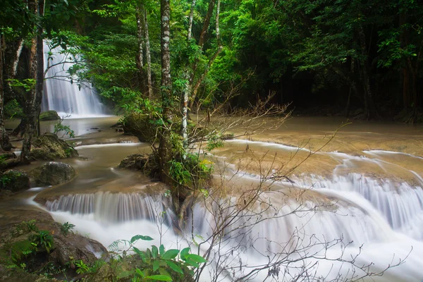 Cascade dans la forêt — Photo