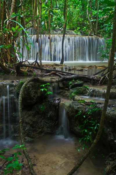 Cachoeira na floresta — Fotografia de Stock