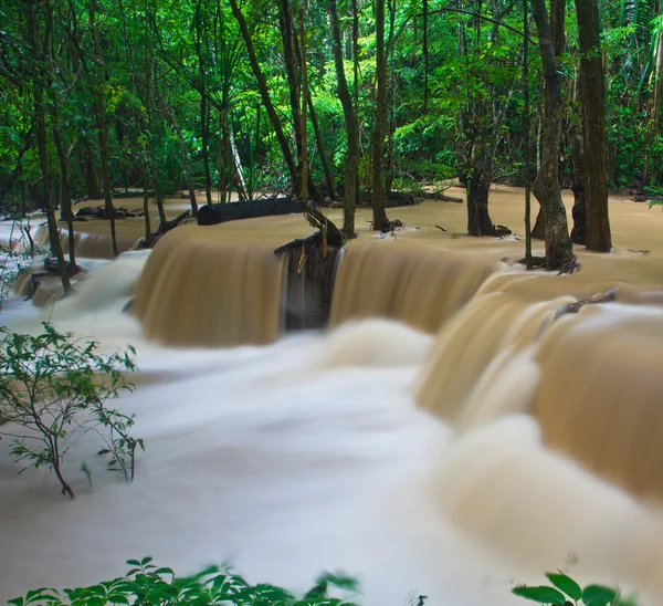 Cachoeira na floresta — Fotografia de Stock