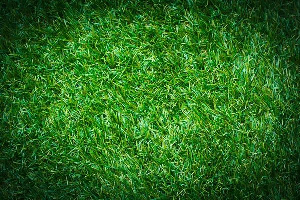 Artificial grass — Stock Photo, Image