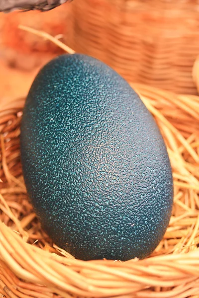 Emu eggs — Stock Photo, Image