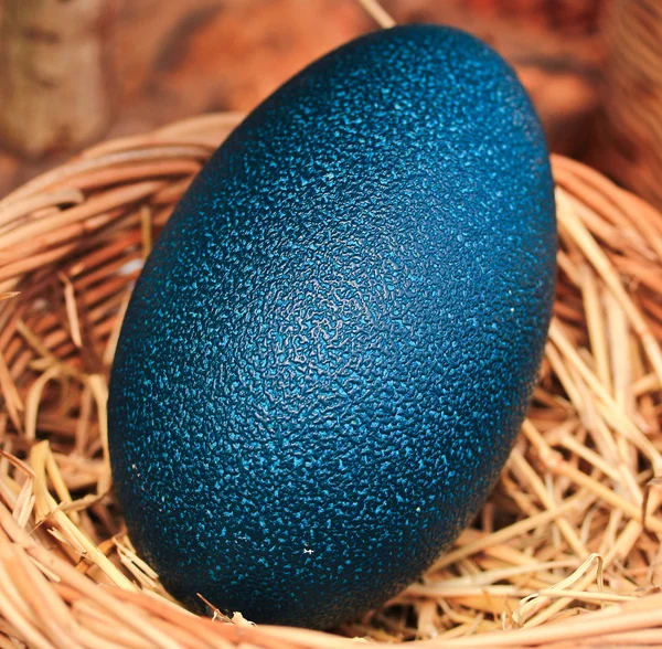 Emu eggs — Stock Photo, Image
