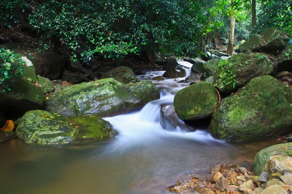 Cachoeira na floresta — Fotografia de Stock