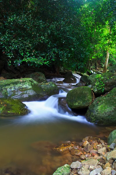 Cachoeira na floresta — Fotografia de Stock