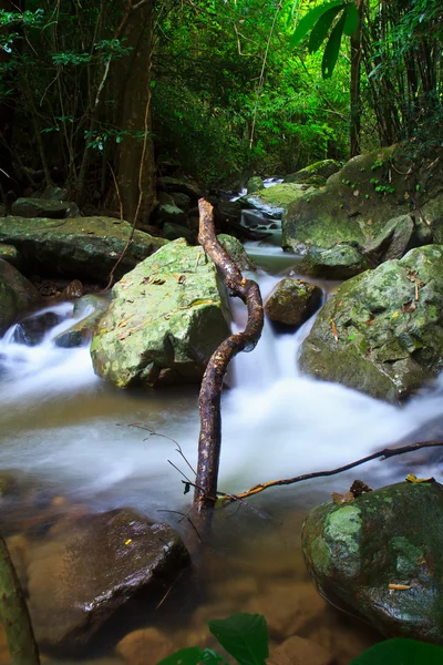 Ormanda şelale — Stok fotoğraf