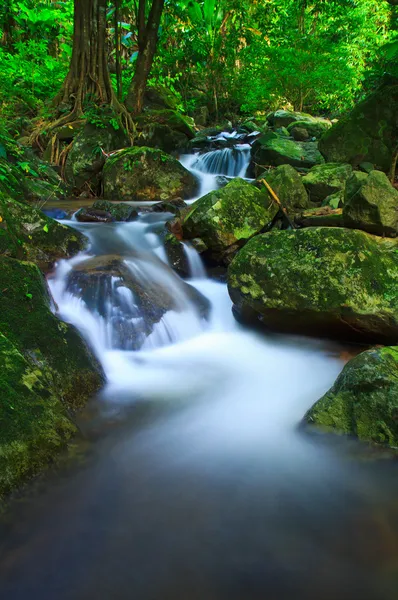 Waterval in het bos — Stockfoto