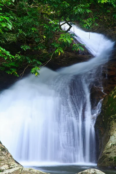 Cascade dans la forêt — Photo