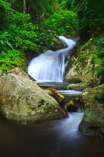 Cascade dans la forêt — Photo