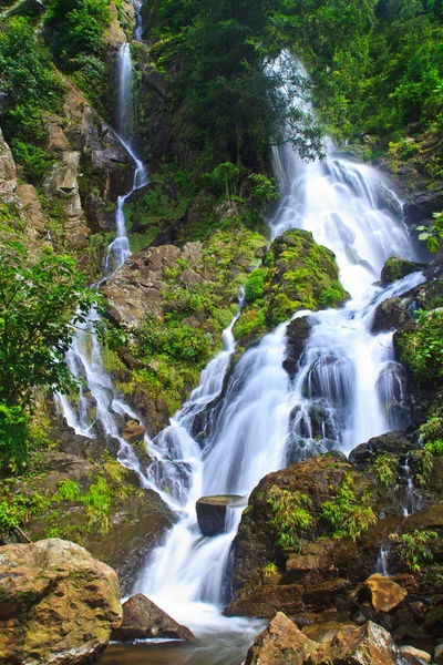 Cascata nella foresta — Foto Stock